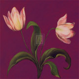 Buy Moon Shadows II at AllPosters.com