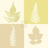 Buy Tundra II at AllPosters.com