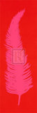 Tickled Pink II