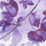 Light and Shade I