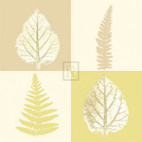 Buy Tundra I at AllPosters.com