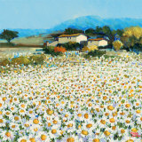Buy Farm Near Bini at AllPosters.com