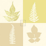 Buy Tundra II at AllPosters.com