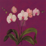 Buy Moon Shadows IV at AllPosters.com