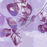 Buy Light and Shade II at AllPosters.com