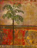 Equatorial Beauty II