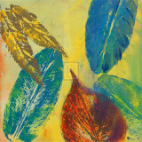 Buy Vibrant X at AllPosters.com