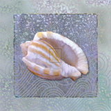 Treasures II Art Print
