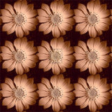 Daisy Chain