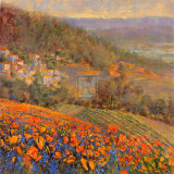 Provencal Village IX