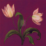 Buy Moon Shadows II at AllPosters.com