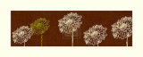 Buy Miyako II at AllPosters.com