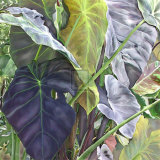 Jungle Fever I Art Print