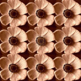 Buy Poppyfield at AllPosters.com