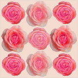 Blush II