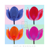 Buy Tulip Quadrant II at AllPosters.com