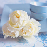 Buy Epernay II at AllPosters.com