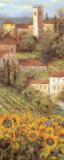 Provencal Village IV