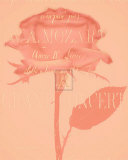Buy Musical Silence II at AllPosters.com