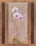 Contemporary Orchid I