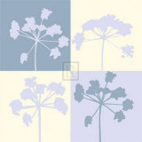 Buy Make a Wish II at AllPosters.com