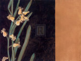 Buy Golden Beauty II at AllPosters.com