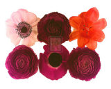 Buy Colour Cluster I at AllPosters.com