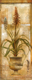 Rojo Botanical II