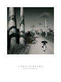 Allee des Baobabs II