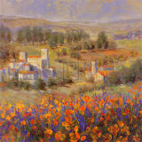 Buy Provencal Village VII at AllPosters.com