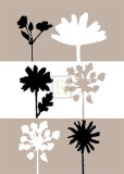 Buy Shadows II at AllPosters.com