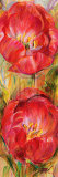 Buy Spring Fling II at AllPosters.com