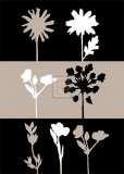 Buy Shadows I at AllPosters.com