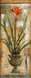 Rojo Botanical I