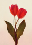 Buy Transparent Beauty I at AllPosters.com