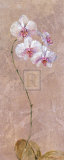 Contemporary Orchid I