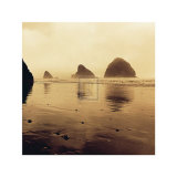Buy Drifting Sands V at AllPosters.com