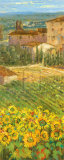Buy Provencal Village III at AllPosters.com