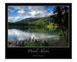 Denali National Park