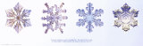Buy Snowflakes at AllPosters.com