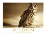 Buy Wisdom at AllPosters.com