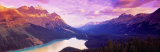 Peyto Lake, Alberta, Canada