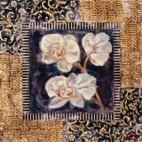 Buy Javanese Orchid II at AllPosters.com