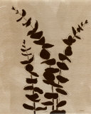 Platinum Shadow I
