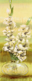 Gladiolas