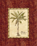 Red Passion Palm II