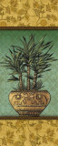 Tropical Plants I