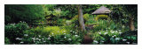 Buy Ayrlies at AllPosters.com