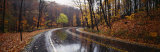 Rainy Road in Autumn, Euclid Creek, Parkway, Ohio, USA Photographic Print