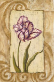 Buy Classic Tulip I at AllPosters.com